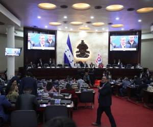 Las bancadas legislativas mantienen conversaciones sin lograr una posición unificada sobre el proyecto.