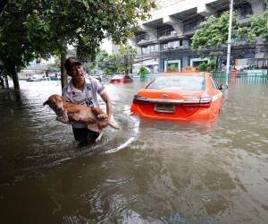 Bangkok declaró este sábado el estado de desastre en sus 50 distritos por las inundaciones derivadas de las fuertes lluvias que se acumulan desde hace más de 24 horas en la capital tailandesa. Aquí más detalles.