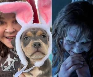 Un operativo del Departamento de Cuidado y Control Animal de Los Ángeles inspeccionó el rancho de Linda Blair, protagonista de El Exorcista, por presuntas irregularidades en un refugio canino.