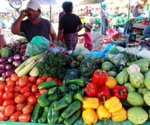 Durante la tercera semana de marzo, algunos lácteos se cotizan en 100 lempiras en la Feria del Agricultor, mientras que las verduras bajan de precio.
