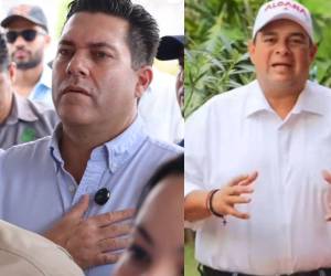 El Consejo Nacional Electoral (CNE) determinó el sábado 27 de diciembre, en sesión de pleno, reanudar el escrutinio especial con el objetivo de cumplir el plazo legal para emitir la declaratoria oficial de resultados el próximo 30 de diciembre.