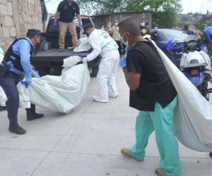Durante los últimos años, el promedio de muertes violentas de mujeres fue de 29 mensuales, es decir, una víctima cada 25 horas.