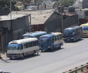 Cálix sostuvo que el transporte urbano es el único servicio de transporte público que mantiene la misma tarifa desde hace varios años, pese al incremento en los costos de operación.