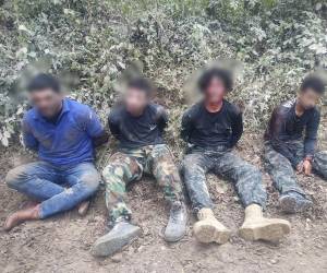 Los cuatro detenidos serán remitidos a los tribunales de justicia, donde se les iniciará un proceso penal en su contra.