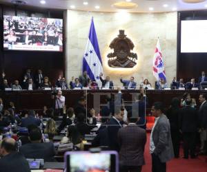 Tras ser analizado por organismos como el CNA y la ASJ, el Presupuesto General 2026 fue finalmente aprobado por los diputados en el Congreso Nacional.