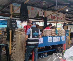 Honduras exporta huevo a países vecinos mientras mantiene el precio más bajo de la región, gracias a la sobreproducción del producto.