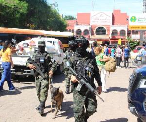 Efectivos de las Fuerzas Armadas acompañados de caninos realizan inspecciones en las terminales de transporte interurbano de las principales ciudades del país.