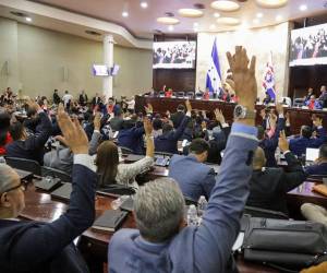 La Comisión de Familia coordinará reuniones con el Ministerio Público, la DPI y otras entidades para impulsar investigaciones y emitir recomendaciones.