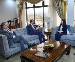 La subsecretaria de Política Exterior, Pamela Handal, se reunió con Alejandro Álvarez y Sergio Aguiñada, miembros de la Oficina del Sistema de Naciones Unidas en Honduras.