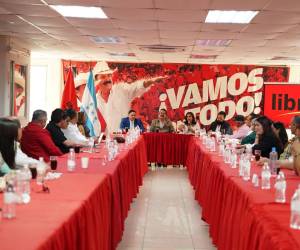 Dentro del Partido Libre afirman que tienen derecho a representación en los órganos electorales.