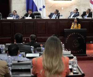 Las propuestas fueron expuestas durante el I Congreso por la Seguridad Alimentaria de los Pueblos y serán sometidas a consideración de alcaldes, organizaciones y demás sectores participantes.