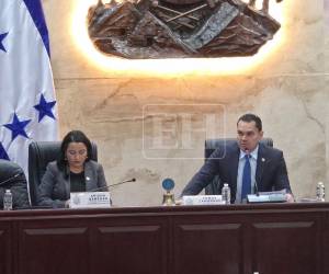 Congreso Nacional priorizará reformas electorales antes de elegir autoridades del CNE y TJE, un proceso que demorará al menos dos semanas más.