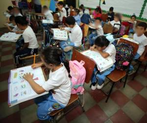 La prueba será con el objetivo de hacer evaluaciones técnicas y financieras para medir el impacto real de la medida antes de una expansión a nivel nacional, señaló la funcionaria.
