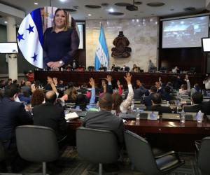 Ante la sugerencia por parte de la comisión especial de someter el cargo a comisionado del Conadeh a un nuevo proceso de selección, los diputados del PN y el PL reaccionaron molestos a pedir la palabra.