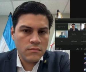 El pleno del Consejo Nacional Electoral (CNE), por mayoría de votos, reinicia el escrutinio especial en el nivel de diputados.