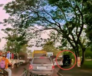 La imprudencia del conductor de la unidad de transporte acabó con la vida de un joven vendedor.