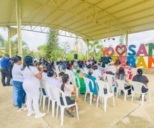 En un cabildo abierto que se desarrolló en San Esteban, Olancho, las autoridades del Instituto de la Propiedad iniciaron el proyecto de regularización predial.