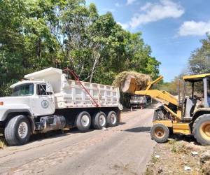 La acumulación de basura en las cercanías del río Guacerique provocó una intervención municipal que permitió retirar 12 toneladas.