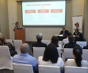 Se presentó el informe a diferentes sectores de la sociedad.