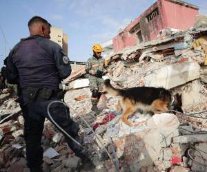 Con unidades caninas buscan más víctimas de los terremotos.