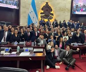 Esta semana todos los diputados conocerán la contrapropuesta que harán a las reformas a la Ley General de la Industria Eléctrica.