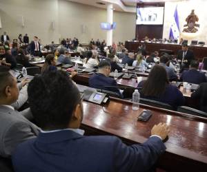 El blindaje fue aprobado por el pleno del Legislativo.