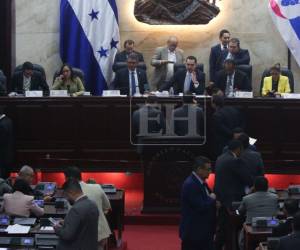 El Congreso sometió a votación la destitución de Johel Zelaya, luego de que presentara un recurso de inconstitucionalidad contra la Ley Especial de Juicio Político.