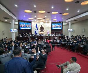 La ley fue aprobada este martes 10 de febrero en la sesión del Congreso Nacional.