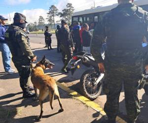 Elementos de las Fuerzas Armadas de Honduras hacen los registros de rigor a los pasajeros de un bus interurbano.