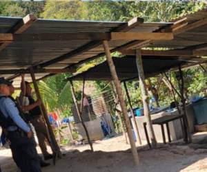 Una llamada anónima alertó a los agentes de la Policía Nacional, quienes llegaron hasta el sector.