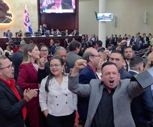 La bancada de Libertad y Refundación (Libre) mantienen su postura en contra de las reformas al sector energético, sosteniendo que estas llevarán a la privatización de la ENEE.
