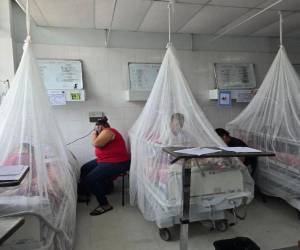 Aunque los casos de dengue grave y muertes se mantienen en cero, Salud pide no bajar la guardia ante nuevos contagios.