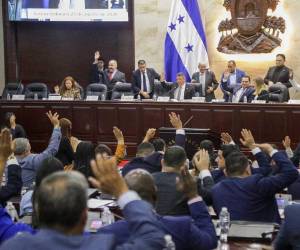 El Poder Legislativo revisará la normativa con el objetivo de mejorar el tema del empleo en el país.