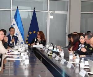 Con estos acercamientos la Cancillería busca el fortalecimiento de las capacidades institucionales, en favor del desarrollo sostenible y el bienestar de los hondureños.