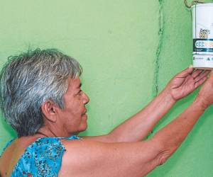 Las personas recibirán en un bote o caja cierta cantidad de huevos del mosquito con agua para que este se reproduzca y se liberará dentro de las casas, y saldrá a infectar a los demás mosquitos de la zona.