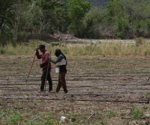 Las autoridades municipales prevén un panorama todavía más complicado para los próximos meses debido a que las fuentes de agua continúan disminuyendo.