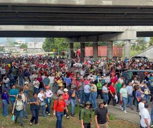Docentes de Cortés recorren el bulevar del Norte de San Pedro Sula, Cortés, para exigir el pago del reajuste salarial que, según denuncian, sigue pendiente por parte del Gobierno.