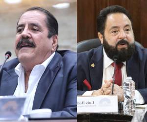 Carlos Zelaya y Luis Redondo serán testigos en el caso Sedesol.