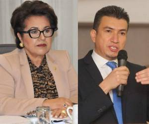 Las gestiones de los expresidentes de la Corte Suprema de Justicia (CSJ), Rebeca Ráquel y Rolando Argueta serán sometidas a auditorias por parte del Tribunal Superior de Cuentas (TSC).