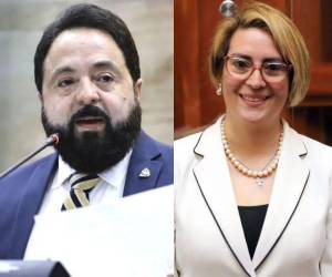 La jueza Anny Ochoa fue designada para conocer el proceso penal contra los integrantes de la extinta Comisión Permanente del Congreso Nacional.
