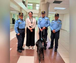 <b>Mientras se localiza a su familia, agentes policiales asumieron el cuidado del canino dentro del Palacio de Justicia.</b>