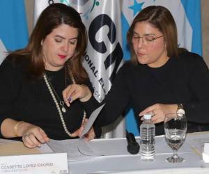 Ambas consejeras aseguraron que su comparecencia ante la comisión especial busca exponer de forma los hechos ocurridos durante el proceso electoral 2025.