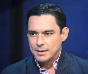 El parlamentario insistió en que la elección de nuevos funcionarios, tanto para el CNE y el TJE debe centrarse en la idoneidad y no en la afiliación partidaria.