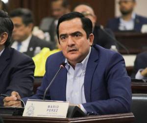 El diputado Mario Pérez presentó una moción que busca investigar operación de negocios chinos.