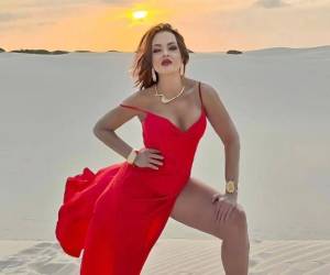 La actriz Gaby Spanic, recordada por su protagónico en la telenovela La usurpadora, reveló que durante su ingreso a México procedente de Estados Unidos se le giró una orden de aprehensión, luego de ser señalada presuntamente por portar drogas entre sus pertenencias en un aeropuerto del país.