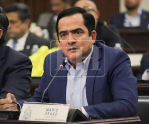 Mario Pérez advirtió que el Ejecutivo podría recurrir a decretos en caso de no alcanzar consensos para reformar el subsector eléctrico.