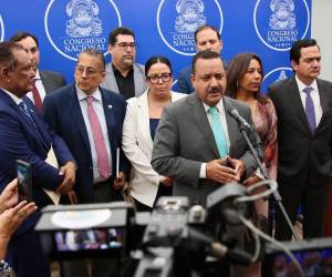La Comisión de Energía lleva varias reuniones de trabajo con distintos sectores. En el Congreso hay diferentes posturas sobre las medidas para recuperar la ENEE.