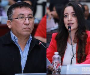 Este domingo 30 de noviembre se realizarán las elecciones generales en Honduras y varios congresistas están viviendo sus últimas días en el Poder Legislativo. ¿Quiénes dirán adiós a su curul?