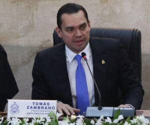 Tomás Zambrano aseguró que el Congreso Nacional le está cumpliendo al país.