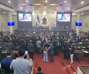 Empujones y gritos en el Congreso tras lectura de denuncia de juicio político